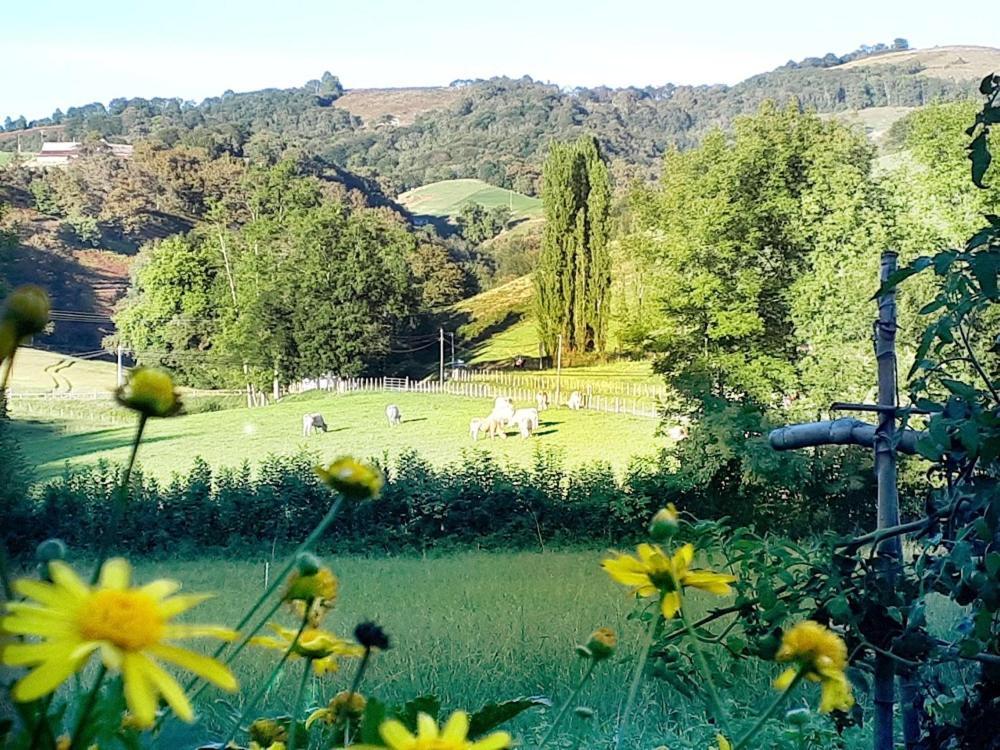 "Chez Naty" Chambres D'Hotes Au Pays-Basque Cheraute Luaran gambar